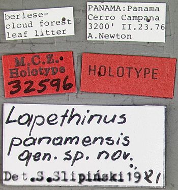 Media type: image;   Entomology 32596 Aspect: labels